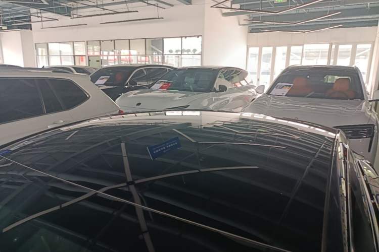 Used Tesla Model 3 2020 Revised Version Standard Range Rear-Wheel Drive – Upgraded Edition Roof