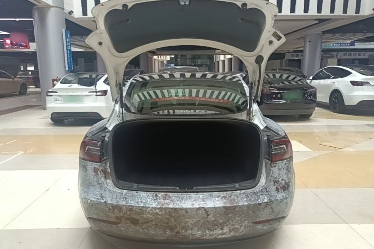 Used Tesla Model 3 2020 Revised Version Standard Range Rear-Wheel Drive – Upgraded Edition Trunk