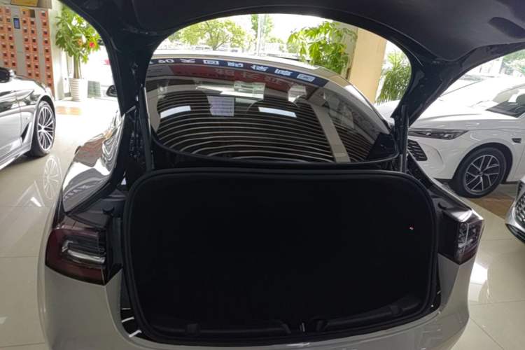 Used Tesla Model 3 2020 Standard Range Rear-Wheel Drive Upgraded Version Trunk