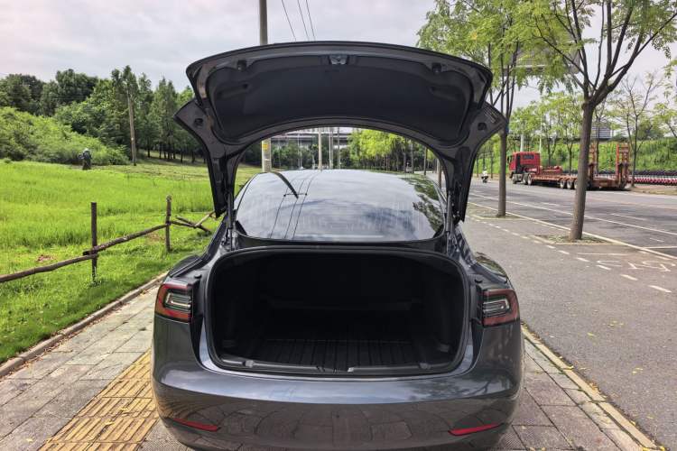 Used Tesla Model 3 2020 Standard Range Rear-Wheel Drive Upgraded Version Trunk