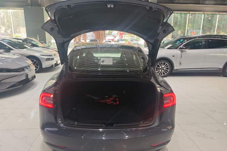 Used Tesla Model 3 2020 Standard Range Rear-Wheel Drive Upgraded Version Trunk
