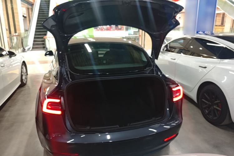 Used Tesla Model 3 2020 Standard Range Rear-Wheel Drive Upgraded Version Trunk
