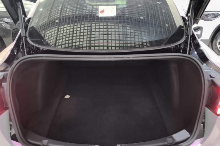 Used Tesla Model 3 2020 Revised Version Standard Range Rear-Wheel Drive – Upgraded Edition Trunk