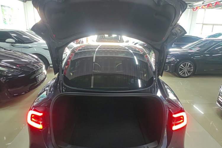 Used Tesla Model 3 2020 Revised Version Standard Range Rear-Wheel Drive – Upgraded Edition Trunk