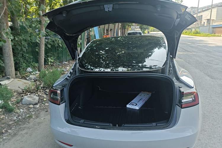 Used Tesla Model 3 2020 Standard Range Rear-Wheel Drive Upgraded Version Trunk