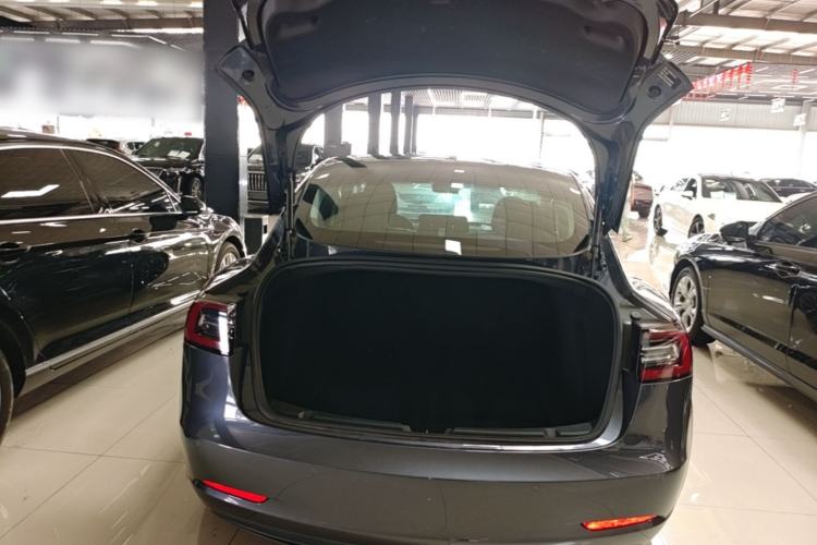 Used Tesla Model 3 2020 Revised Version Standard Range Rear-Wheel Drive – Upgraded Edition Trunk