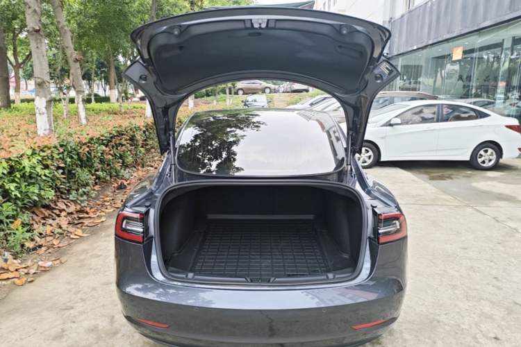 Used Tesla Model 3 2020 Standard Range Rear-Wheel Drive Upgraded Version Trunk