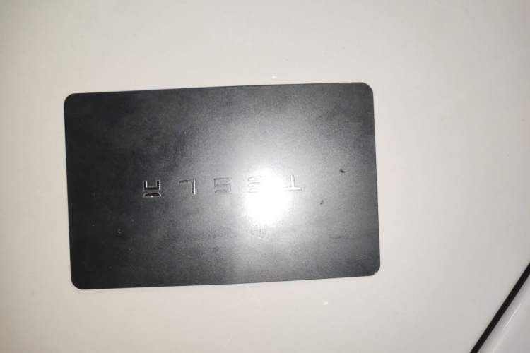 Used Tesla Model 3 2020 Revised Version Standard Range Rear-Wheel Drive – Upgraded Edition Vehicle Key