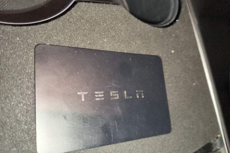 Used Tesla Model 3 2020 Revised Version Standard Range Rear-Wheel Drive – Upgraded Edition Vehicle Key