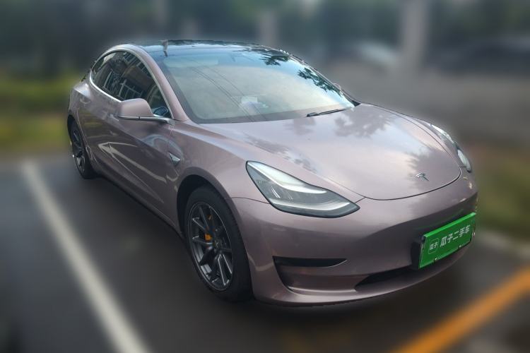 Used Tesla Model 3 2020 Standard Range Rear-Wheel Drive Upgraded Version Front Right 45 Deg