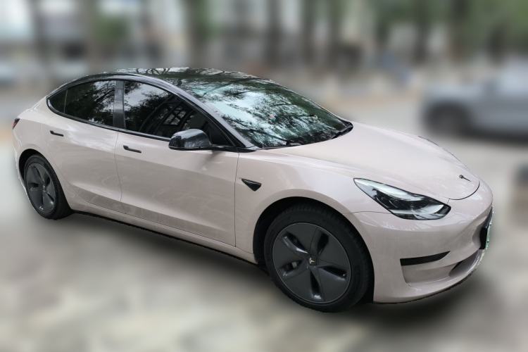 Used Tesla Model 3 2020 Standard Range Rear-Wheel Drive Upgraded Version Front Right 45 Deg