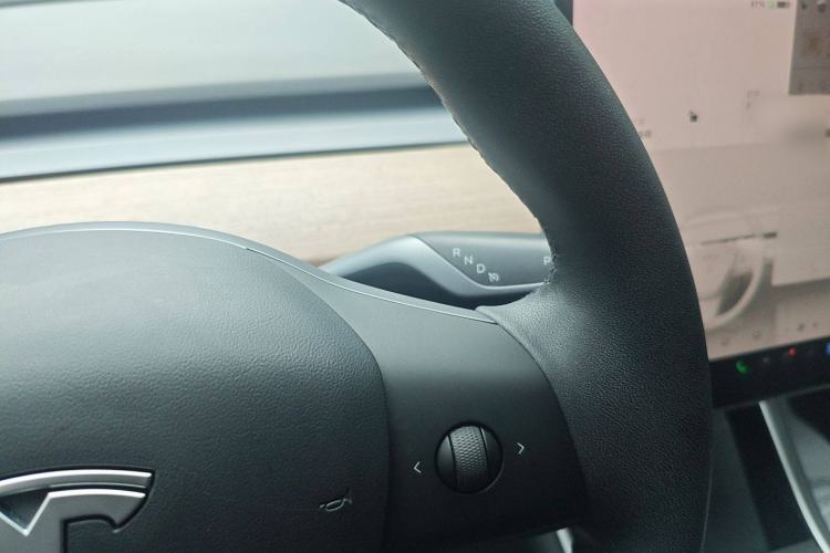 Used Tesla Model 3 2020 Revised Version Standard Range Rear-Wheel Drive – Upgraded Edition Gear Lever