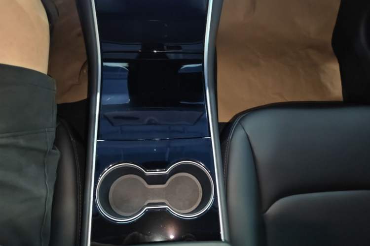 Used Tesla Model 3 2020 Revised Version Standard Range Rear-Wheel Drive – Upgraded Edition Gear Lever