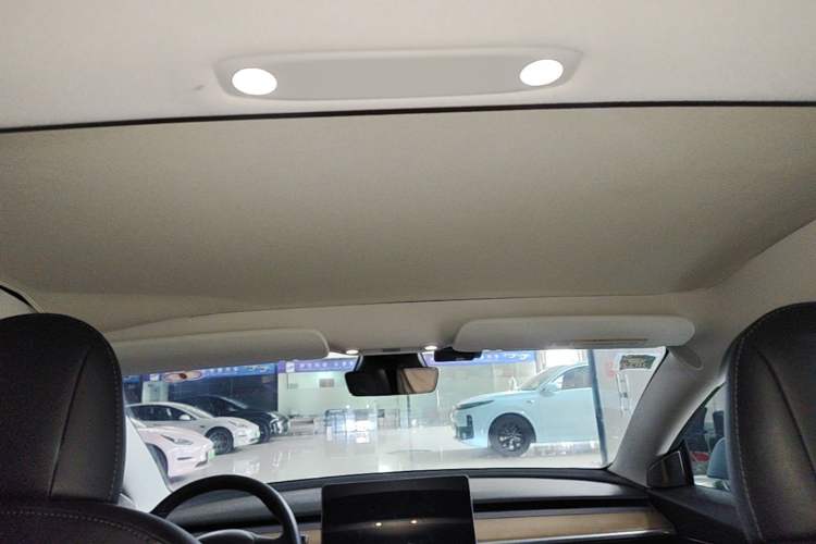 Used Tesla Model 3 2020 Standard Range Rear-Wheel Drive Upgraded Version Headliner