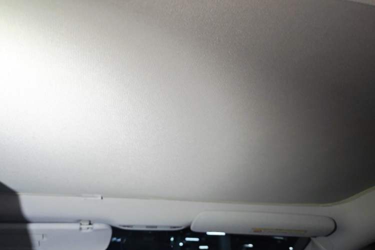Used Tesla Model 3 2020 Standard Range Rear-Wheel Drive Upgraded Version Headliner