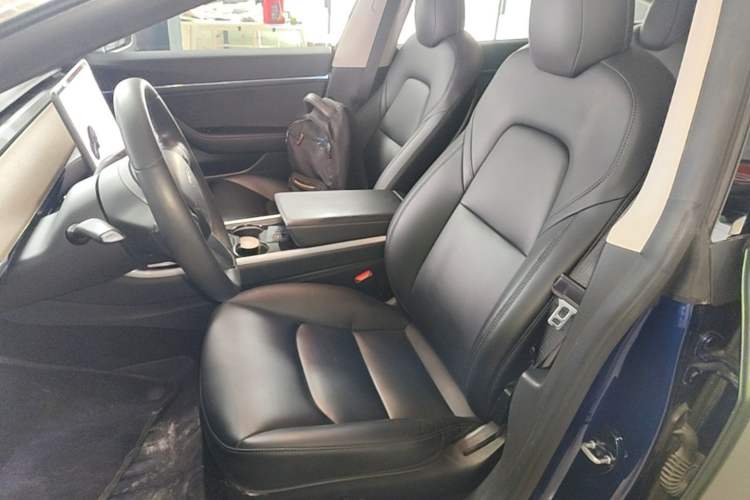Used Tesla Model 3 2020 Standard Range Rear-Wheel Drive Upgraded Version Left Front Seat