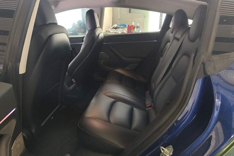 Used Tesla Model 3 2020 Standard Range Rear-Wheel Drive Upgraded Version Left Rear Seat