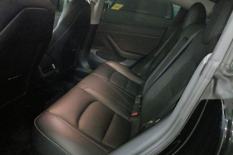 Used Tesla Model 3 2020 Revised Version Standard Range Rear-Wheel Drive – Upgraded Edition Left Rear Seat