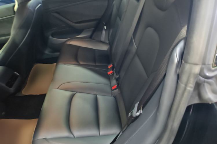 Used Tesla Model 3 2020 Revised Version Standard Range Rear-Wheel Drive – Upgraded Edition Left Rear Seat