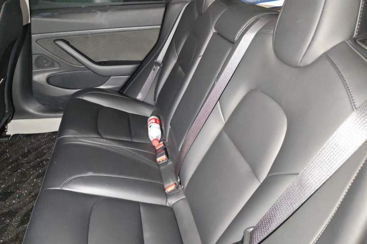 Used Tesla Model 3 2020 Standard Range Rear-Wheel Drive Upgraded Version Left Rear Seat
