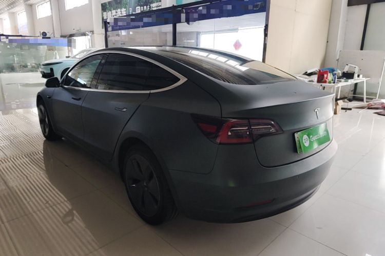 Used Tesla Model 3 2020 Standard Range Rear-Wheel Drive Upgraded Version Rear Left 45 Deg