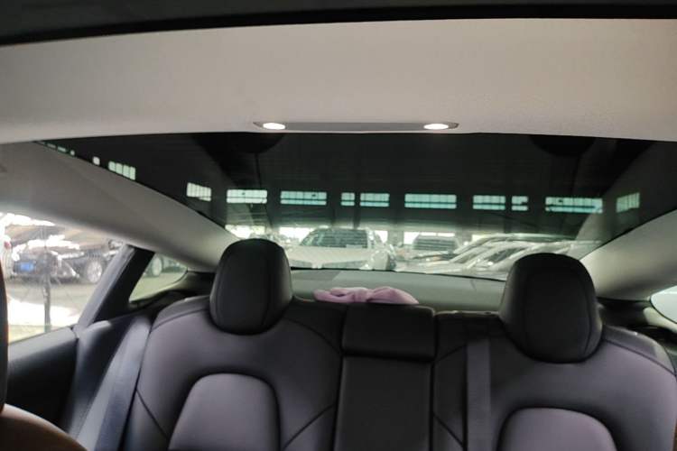Used Tesla Model 3 2020 Standard Range Rear-Wheel Drive Upgraded Version Headliner
