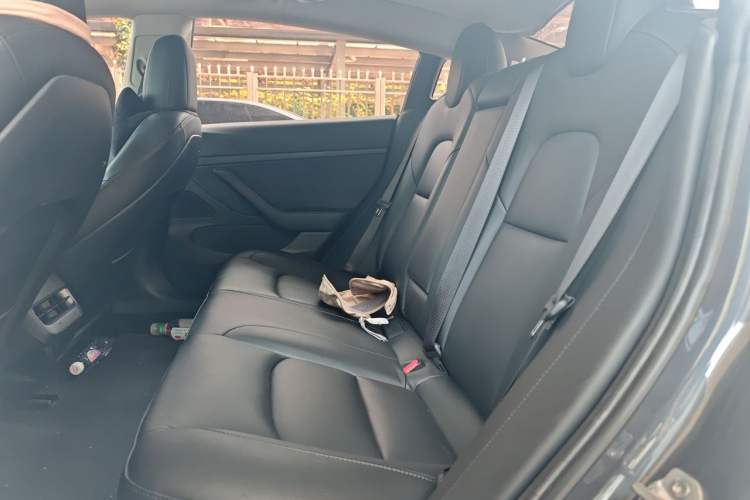 Used Tesla Model 3 2020 Standard Range Rear-Wheel Drive Upgraded Version Left Rear Seat