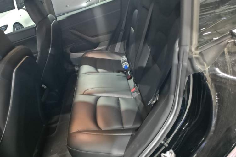 Used Tesla Model 3 2020 Standard Range Rear-Wheel Drive Upgraded Version Left Rear Seat