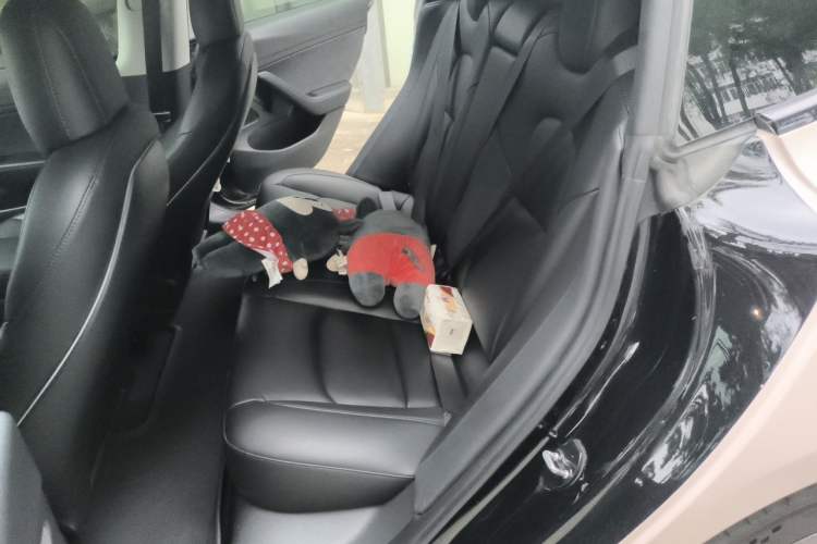 Used Tesla Model 3 2020 Standard Range Rear-Wheel Drive Upgraded Version Left Rear Seat