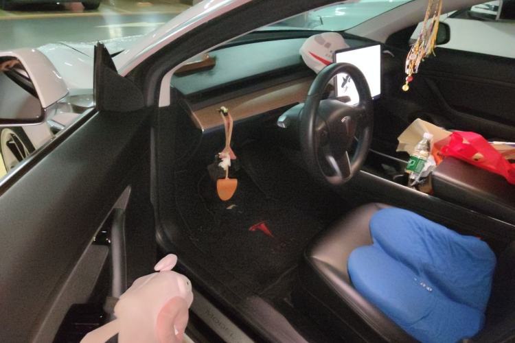 Used Tesla Model 3 2020 Standard Range Rear-Wheel Drive Upgraded Version Driver Seat