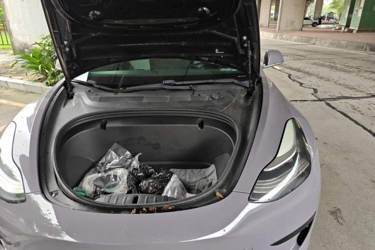 Used Tesla Model 3 2020 Revised Version Standard Range Rear-Wheel Drive – Upgraded Edition Engine Bay Left