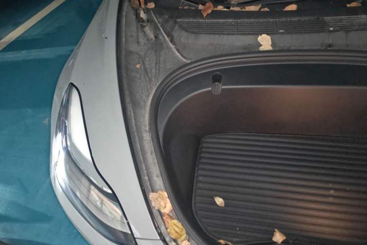Used Tesla Model 3 2020 Standard Range Rear-Wheel Drive Upgraded Version Engine Bay Right
