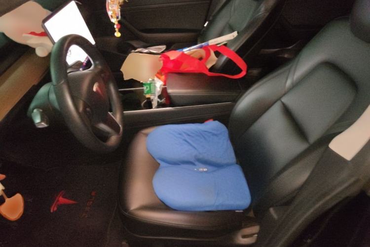 Used Tesla Model 3 2020 Standard Range Rear-Wheel Drive Upgraded Version Left Front Seat