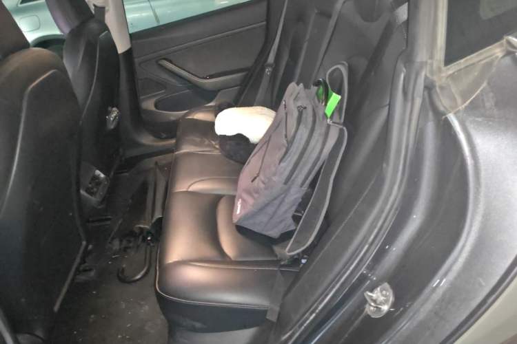 Used Tesla Model 3 2020 Standard Range Rear-Wheel Drive Upgraded Version Left Rear Seat
