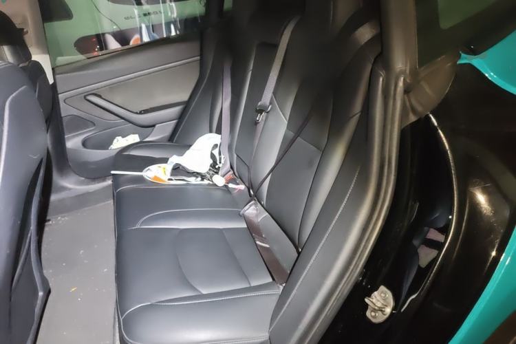 Used Tesla Model 3 2020 Revised Version Standard Range Rear-Wheel Drive – Upgraded Edition Left Rear Seat