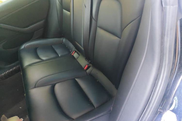 Used Tesla Model 3 2020 Standard Range Rear-Wheel Drive Upgraded Version Left Rear Seat