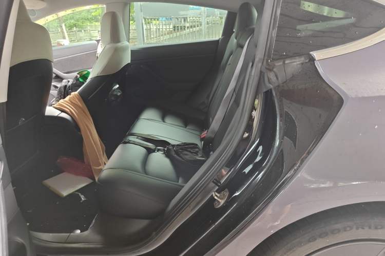 Used Tesla Model 3 2020 Revised Version Standard Range Rear-Wheel Drive – Upgraded Edition Left Rear Seat