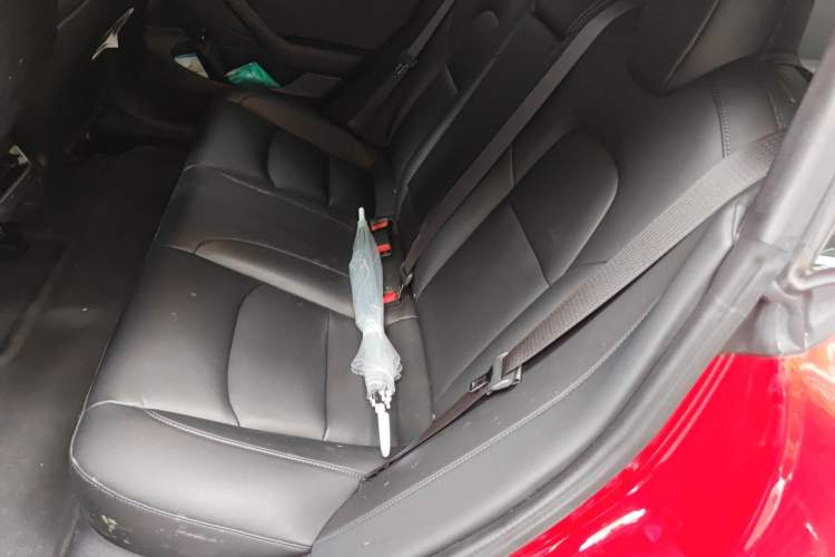 Used Tesla Model 3 2020 Refreshed Version Long-Range Rear-Wheel Drive Left Rear Seat
