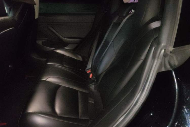 Used Tesla Model 3 2020 Standard Range Rear-Wheel Drive Upgraded Version Left Rear Seat