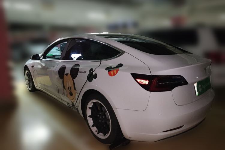 Used Tesla Model 3 2020 Standard Range Rear-Wheel Drive Upgraded Version Rear Left 45 Deg