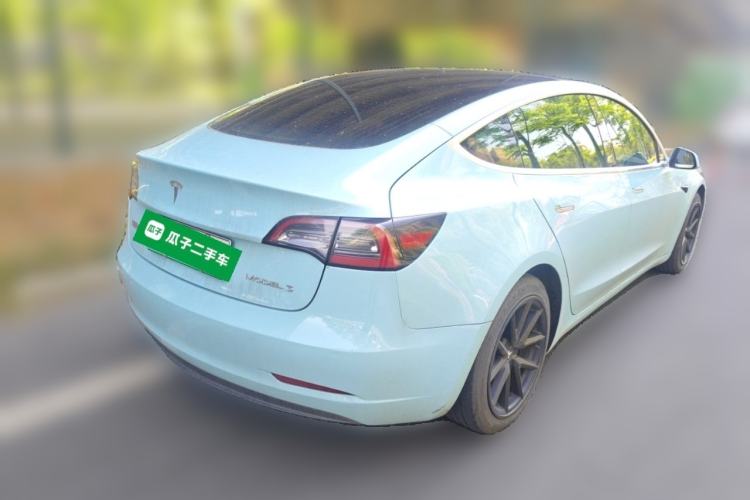 Used Tesla Model 3 2020 Standard Range Rear-Wheel Drive Upgraded Version Rear Right 45 Deg