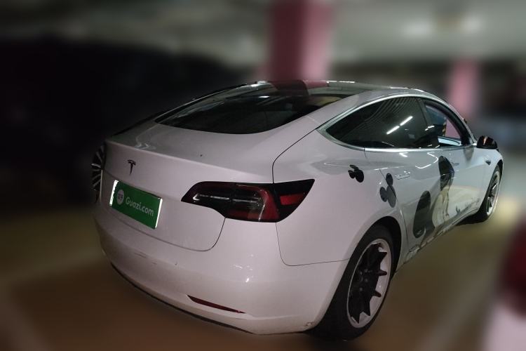 Used Tesla Model 3 2020 Standard Range Rear-Wheel Drive Upgraded Version Rear Right 45 Deg