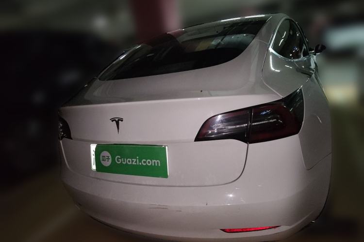 Used Tesla Model 3 2020 Standard Range Rear-Wheel Drive Upgraded Version Rear