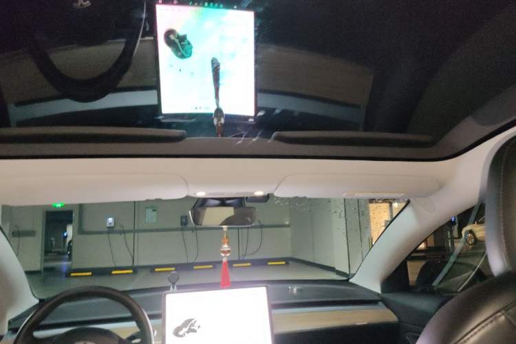 Used Tesla Model 3 2020 Revised Version Standard Range Rear-Wheel Drive – Upgraded Edition Headliner