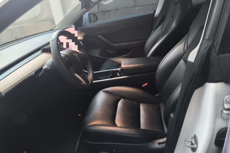 Used Tesla Model 3 2020 Standard Range Rear-Wheel Drive Upgraded Version Left Front Seat
