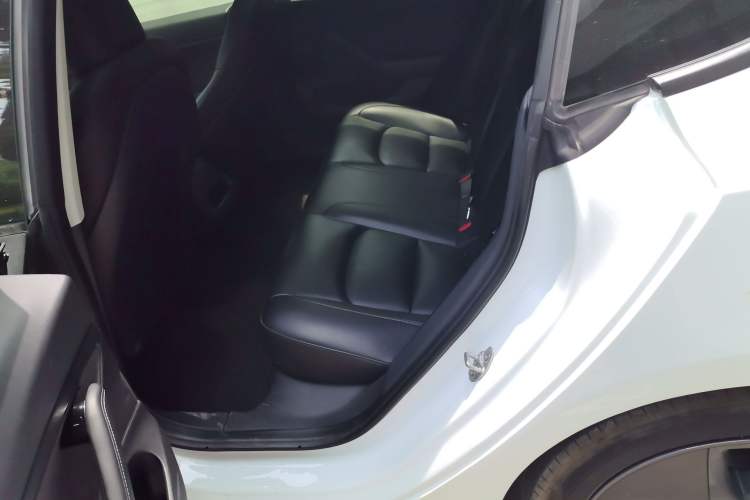 Used Tesla Model 3 2020 Standard Range Rear-Wheel Drive Upgraded Version Left Rear Seat