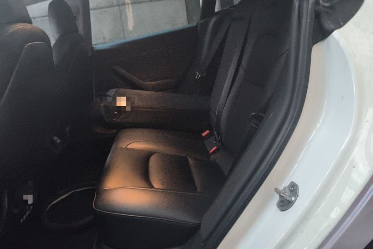 Used Tesla Model 3 2020 Standard Range Rear-Wheel Drive Upgraded Version Left Rear Seat