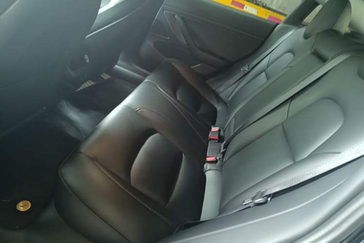 Used Tesla Model 3 2020 Refreshed Version Long-Range Rear-Wheel Drive Left Rear Seat