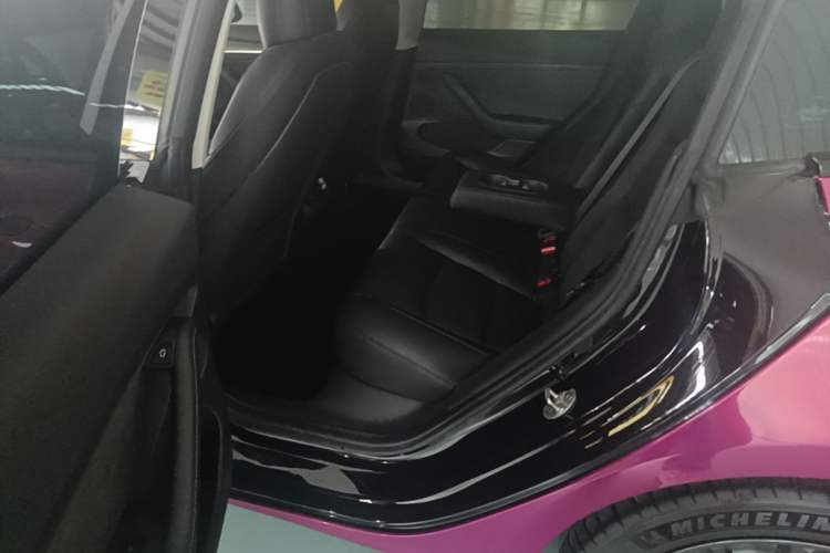 Used Tesla Model 3 2020 Revised Version Standard Range Rear-Wheel Drive – Upgraded Edition Left Rear Seat