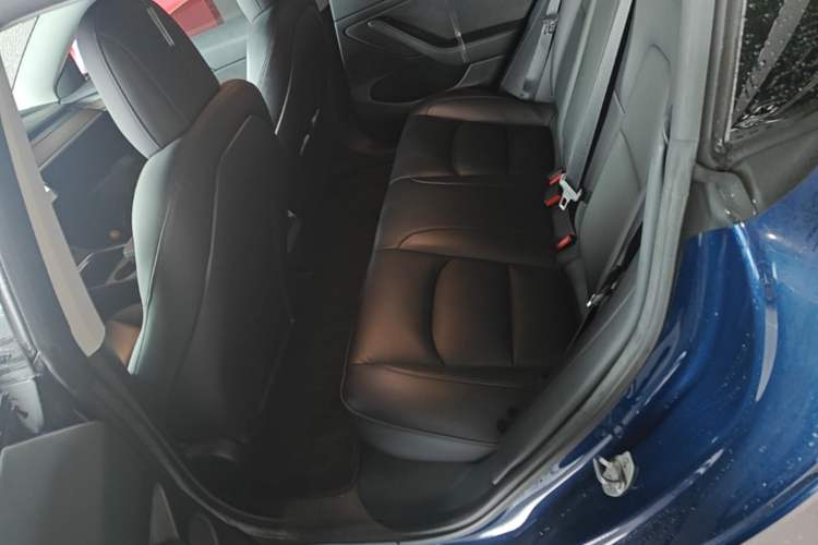 Used Tesla Model 3 2020 Revised Version Standard Range Rear-Wheel Drive – Upgraded Edition Left Rear Seat